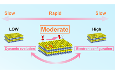 Dynamic tuning of d-p orbital hybridization during sulfur vacancy evolution in Co9S8 toward efficient overall water splitting 2025.100661